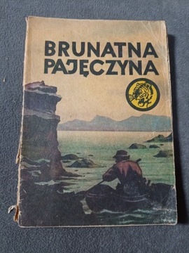 Tygrysy Brunatna pajęczyna