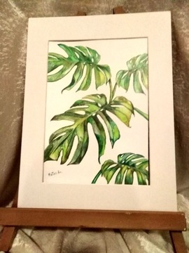 MONSTERA  obrazek 21x30 cm rysowany ręcznie