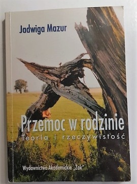 Przemoc w rodzinie teoria i rzeczywistość 