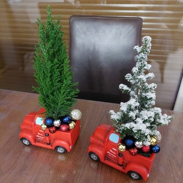 Cyprysik/choinka w świątecznej doniczce auto