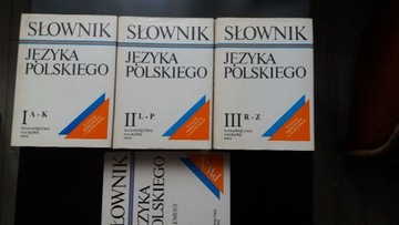 Słownik Języka Polskiego PWN 3 tomy