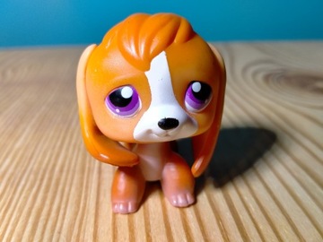 Hasbro Littlest Pet Shop pies beagle #77