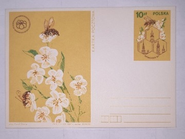 Kartka pocztowa Cp962 XXXI Miedzyn. Kong Pszczelar