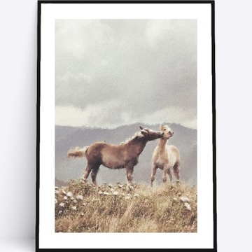 A3 Plakat konie łąka zwierzęta sepia do salonu