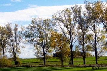 Zdjęcie, autorskie, wywołane na papierze(wydruk)