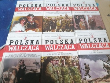 Polska Walczącą. Historia Polskiego Państwa Podzi