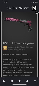 Skin CS:GO USP-S | Kora mózgowa