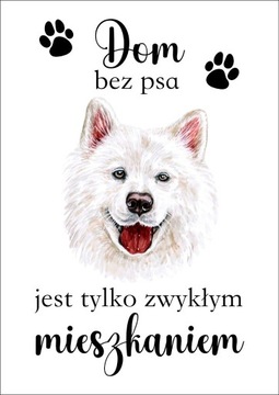 Plakat Dom bez psa jest tylko zwykłym mieszkaniem