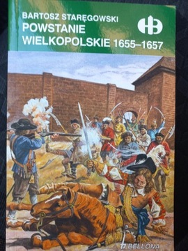 Historyczne bitwy, Powstanie Wielkopolskie