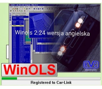 WinOls 2.24 wersja angielska
