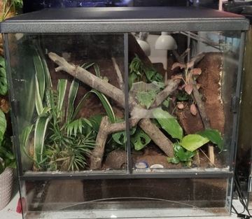 Terrarium z pokrywą oświetlenieniową