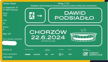 Koncert Dawid Podsiadło - Chorzów 22.06.2024