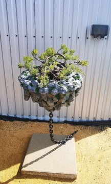 Donica bonsai lewitujacy kamień