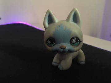 LPS Piesek Littlest Pet Shop