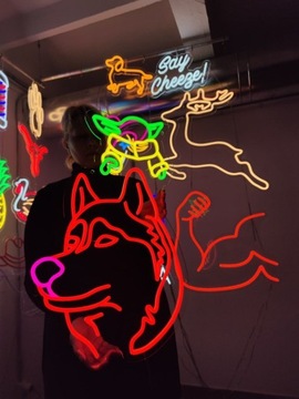 Neon Ozdoba na Ścianę - Husky LED 