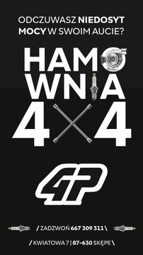 Chiptuning, Hamownia 4x4