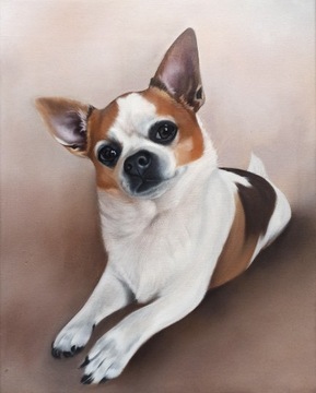 Portret psa na zamówienie ze zdjęcia Chihuahua