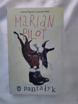 Książka Pantałyk Marian Pilot