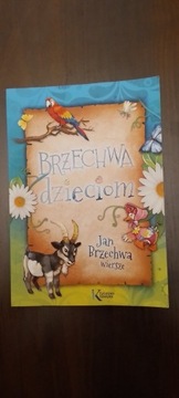 Książka dla dzieci - Brzechwa dzieciom