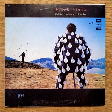 Pink Floyd Delicate Sound Of Thunder (winyl) W30