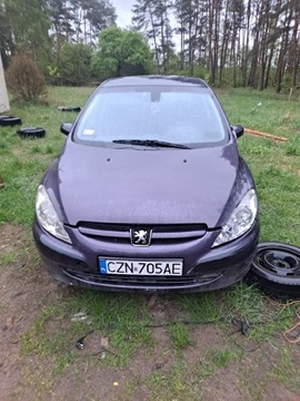 Peugeot 307 wszystkie części 