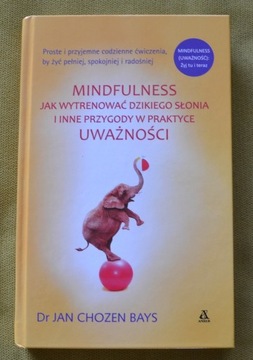 Jan Chozen Bays Mindfulness jak wytrenować słonia