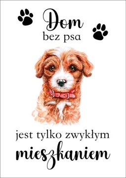 Plakat Dom bez psa jest tylko zwykłym mieszkaniem