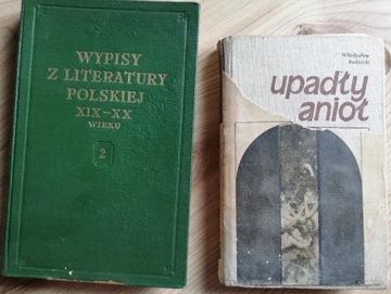 Wypisy z literatury polskiej XIX-XX wieku tom 2