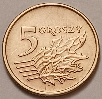 5 gr groszy 1993 r. b.ładna