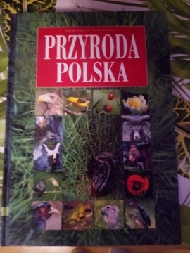 Polska Przyroda 