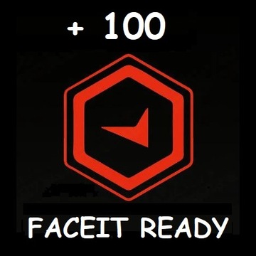 KONTO CS2 GODZINY | 100h | FACEIT READY | SMURF | CS GO