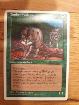 Timber Wolves Magic the Gathering