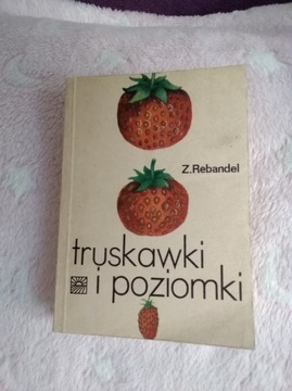 Truskawki i poziomki. Z. Rebandel 