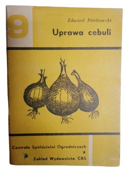 uprawa cebuli piorkowski 1965