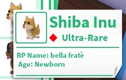 Adopt Me! Shiba Inu
