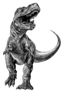 Tatuaż Wodny Zmywalny Dinozaur Tyranozaur 6x10,5cm