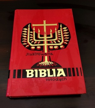 Ilustrowana Biblia Młodych ks. Tomasz Hergesel 