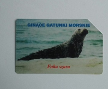 Ginące Gatunki  Morskie -Foka szara -karta używana