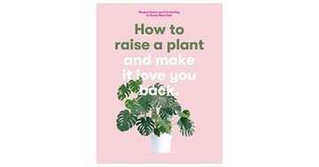How to raise a plant 