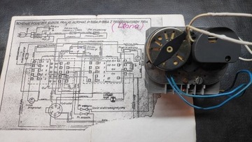 PROGRAMATOR 790 A POLAR  DIANA LUNA