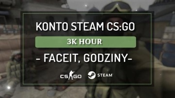 KONTO STEAM Z CS:GO | CS2 3k HOUR FACEIT GODZINY