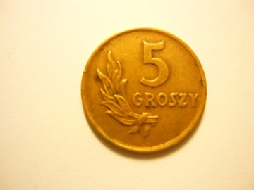 Moneta 5gr z 1949r.nie czyszczona