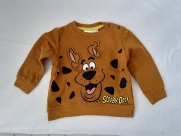 bluza Scooby-Doo 80 cm 9-12 M