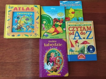 Zestaw 5 książek dla małych dzieci