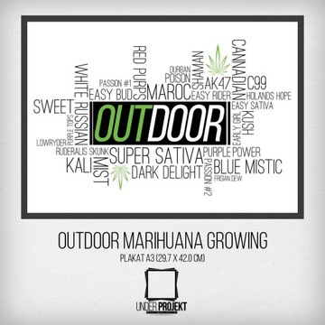 Plakat Outdoor Marihuana Growing - rozmiar a3