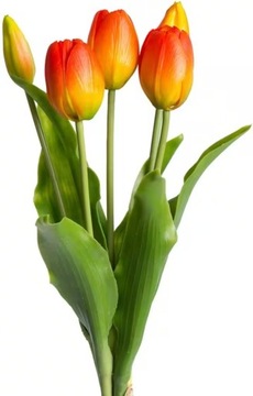 Tulipany silikonowe Bukiet Tulipanów  Gumowych 5szt.