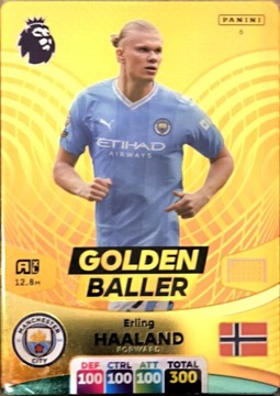 Premier league 2024 Golden Baller Haaland