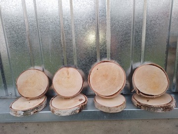 Plastry brzozy drewna krążki śr  10 - 15 cm