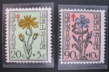 Kwiaty flora 854+856**