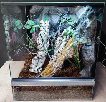 Terrarium dla gekona żaby 50x50x60 